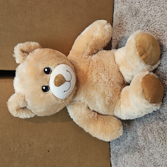 Build a bear 2015 bear - Picture 1 of 5